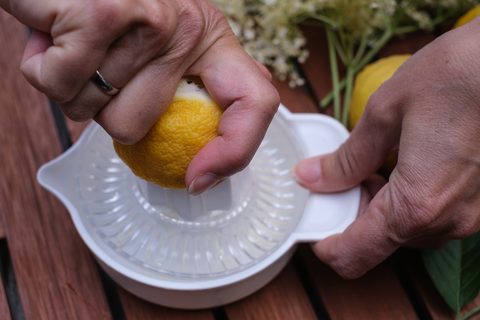 Hand presst eine Zitrone auf einer weißen Zitronenpresse aus Kunststoff aus